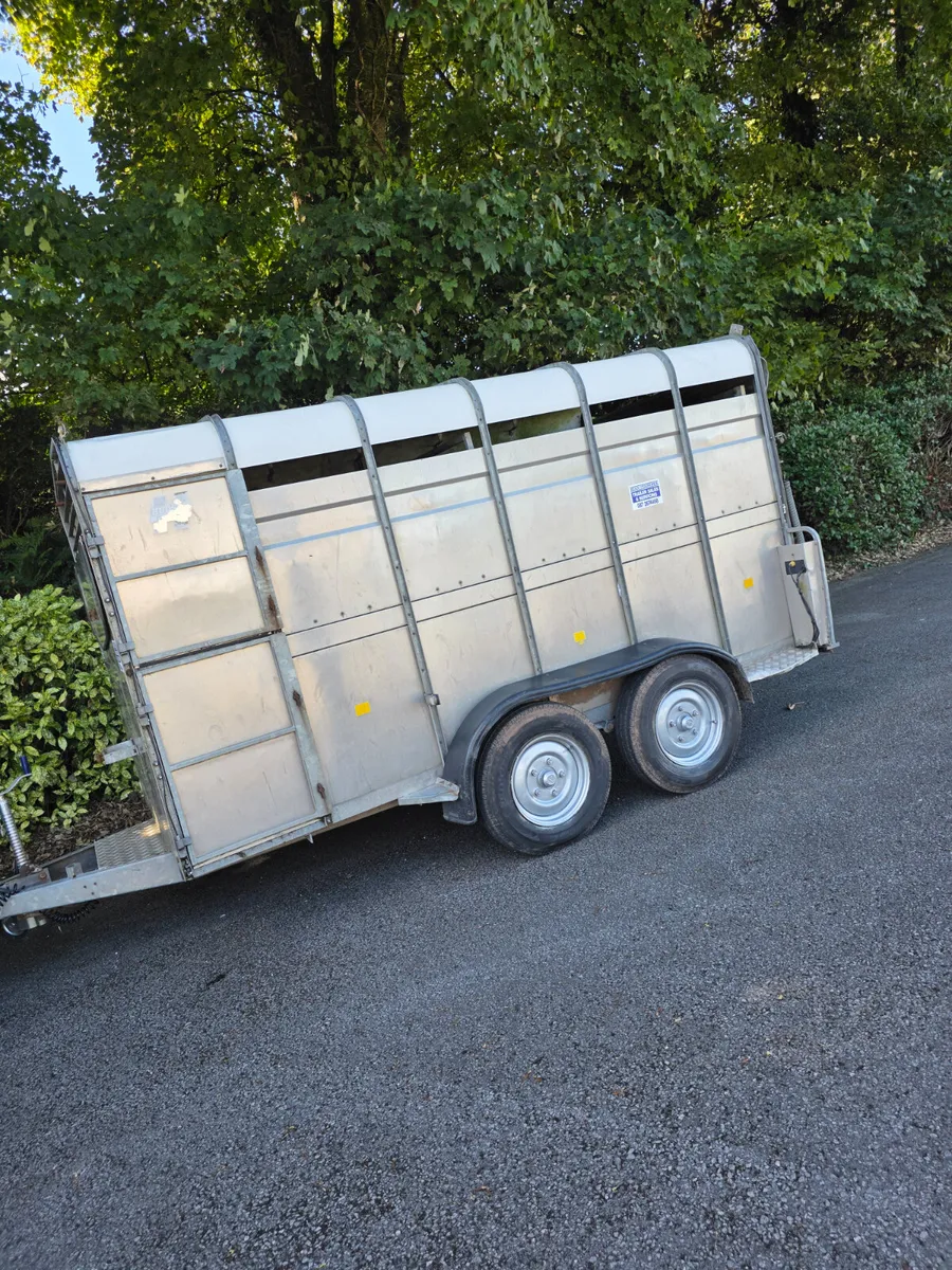 12ft hudson livestock trailer - Image 3