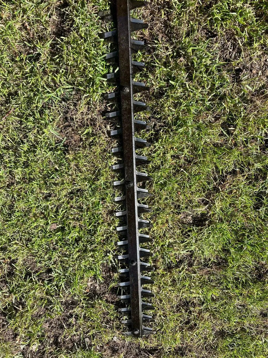 Stihl Hedgetrimmer 60” blade- just serviced - Image 4
