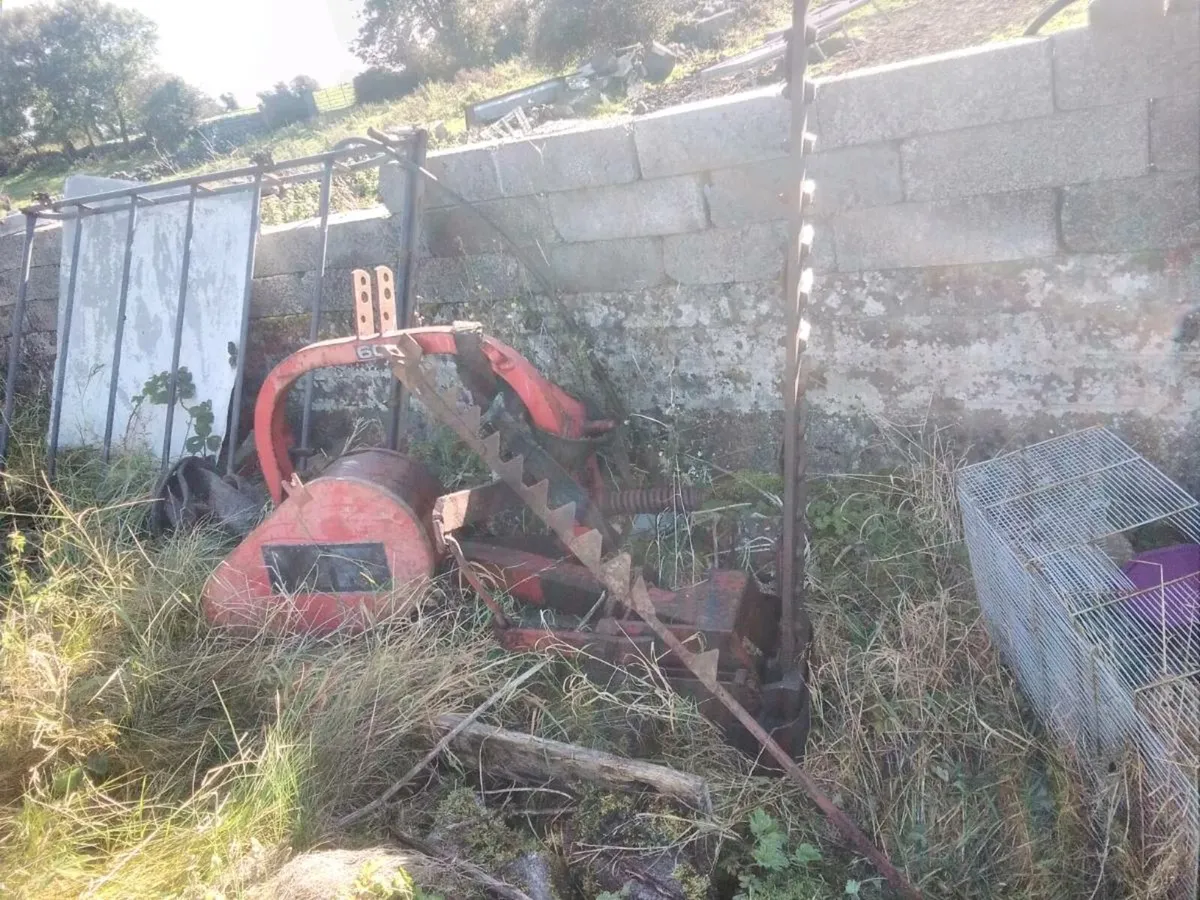 Massey ferguson 35 135 20 shed yard clearout ,mowi - Image 3