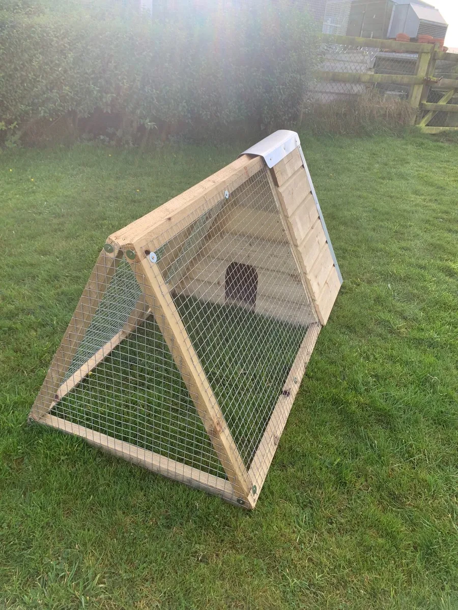 Animal/Rabbit Hutches - Image 4
