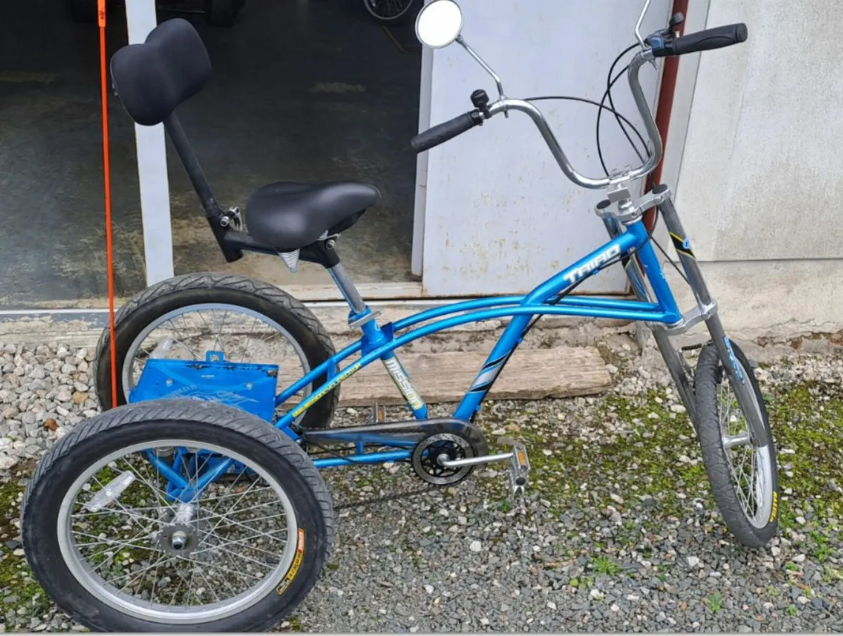 Mission Adult Trike - Image 1