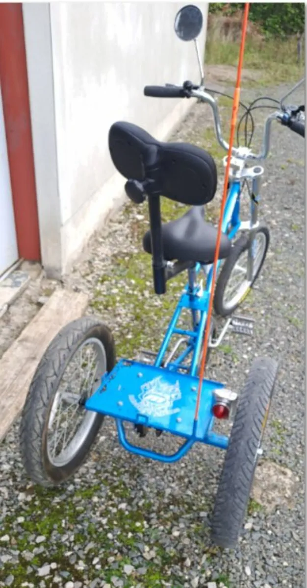 Mission Adult Trike - Image 4
