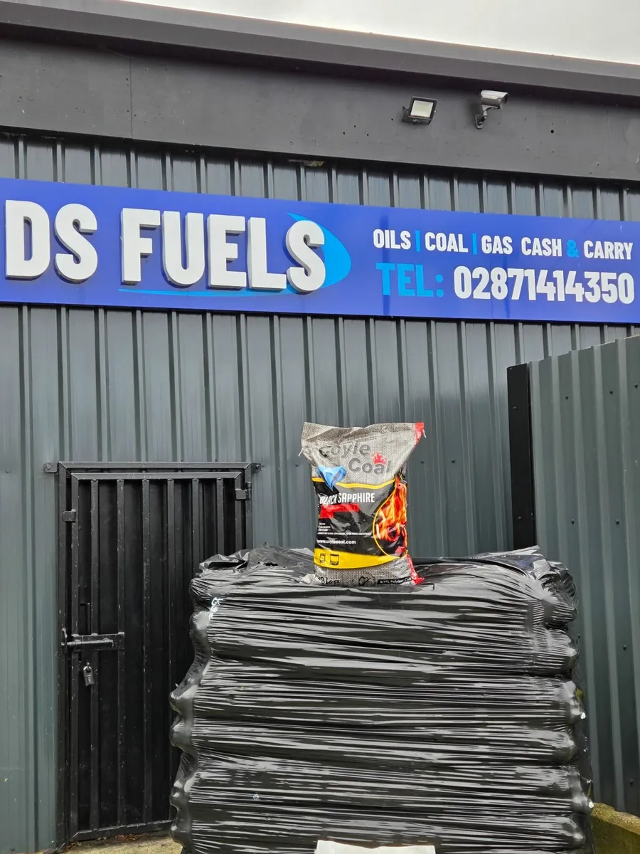 Premium smokeless coal & Colombian coal - Image 2