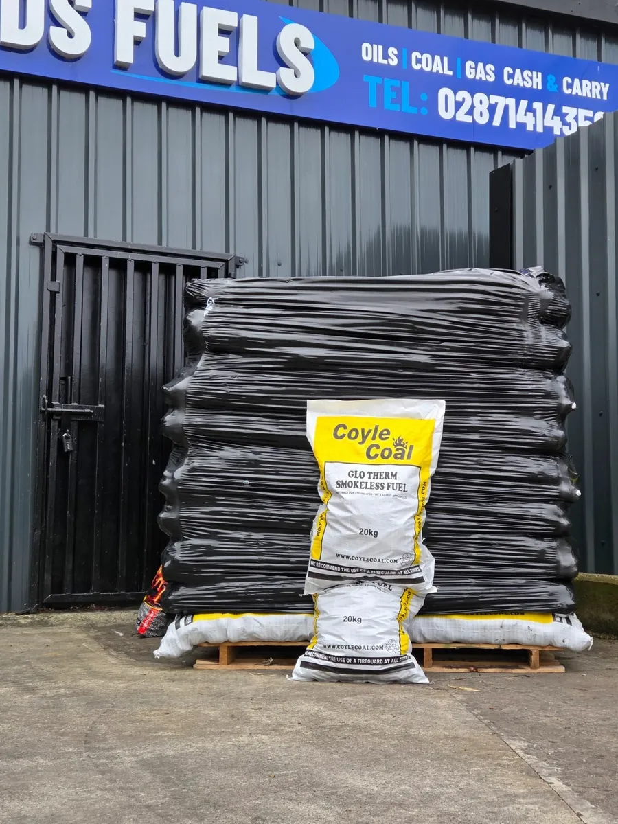Premium smokeless coal & Colombian coal - Image 1