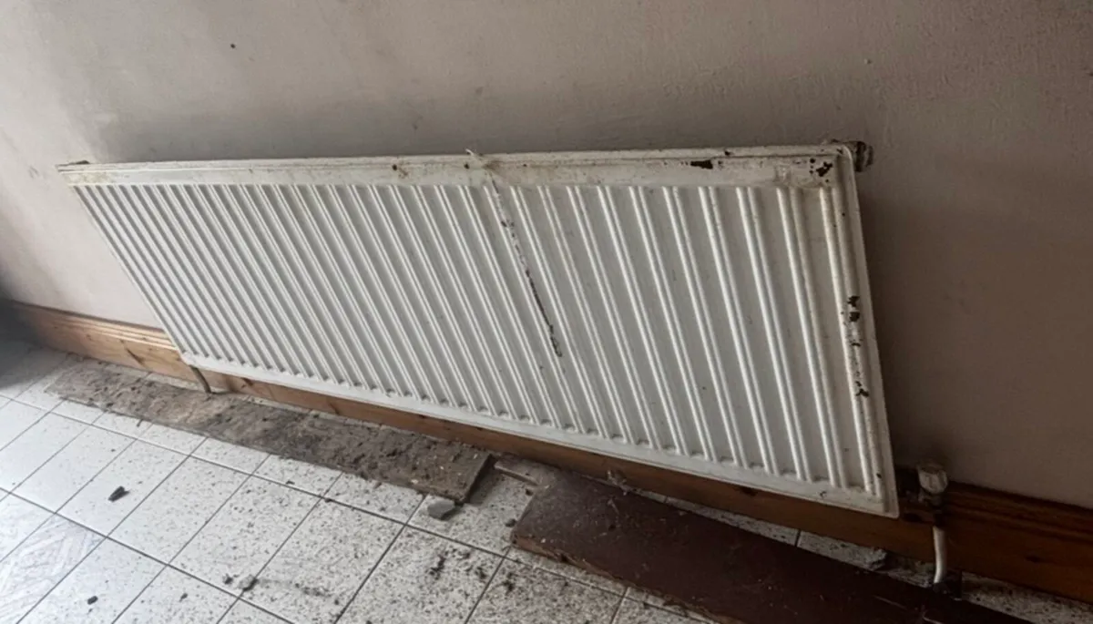 Stove and radiators - Image 2