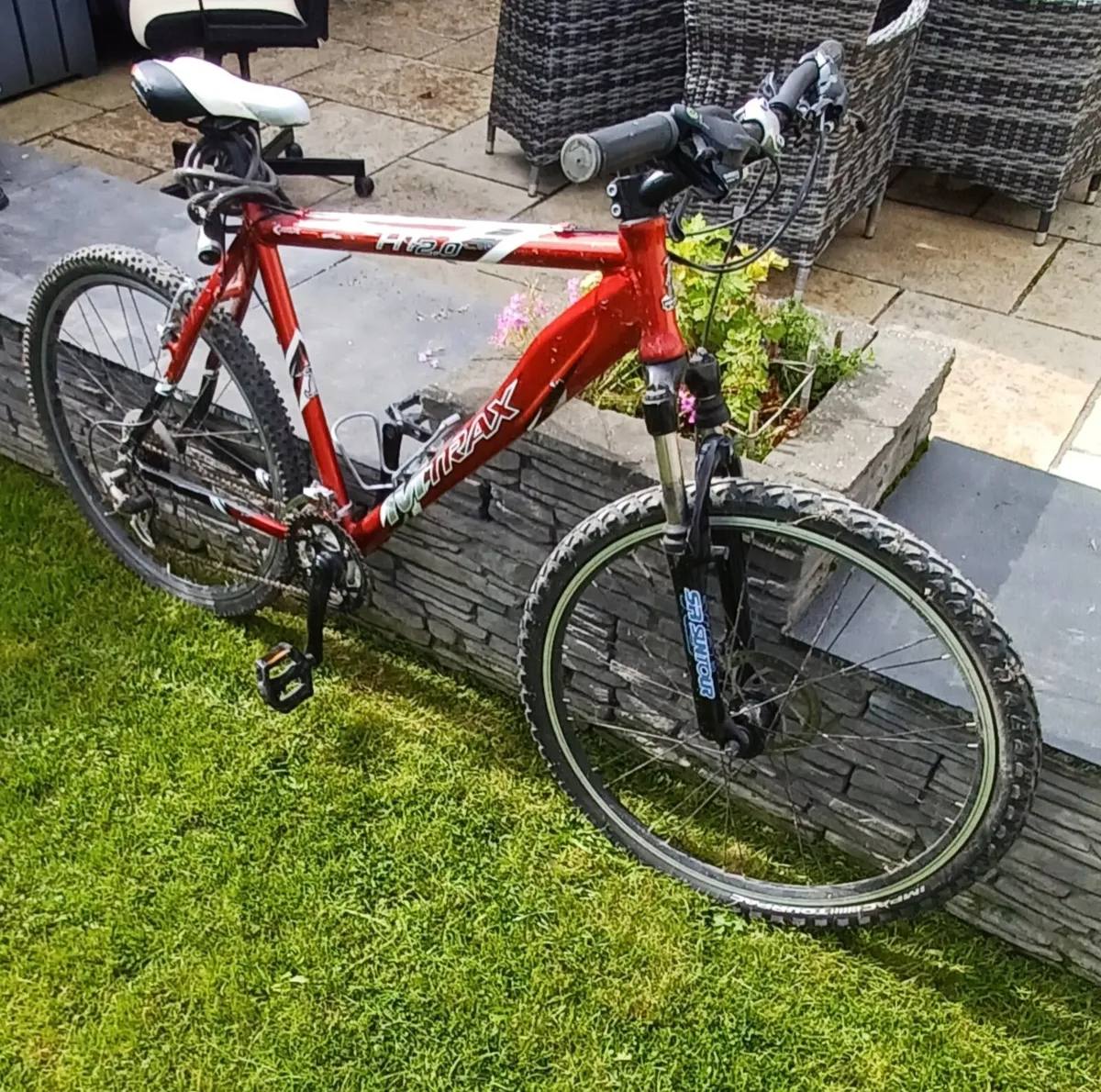 Mens mountain bike - Image 1