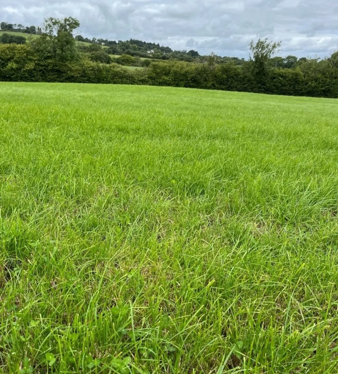 Zero grazing