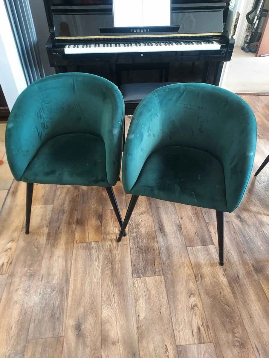 2 Dining Room Chairs