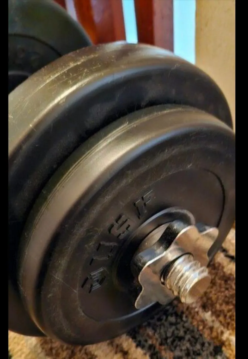 USF DUMBELLS - Image 2