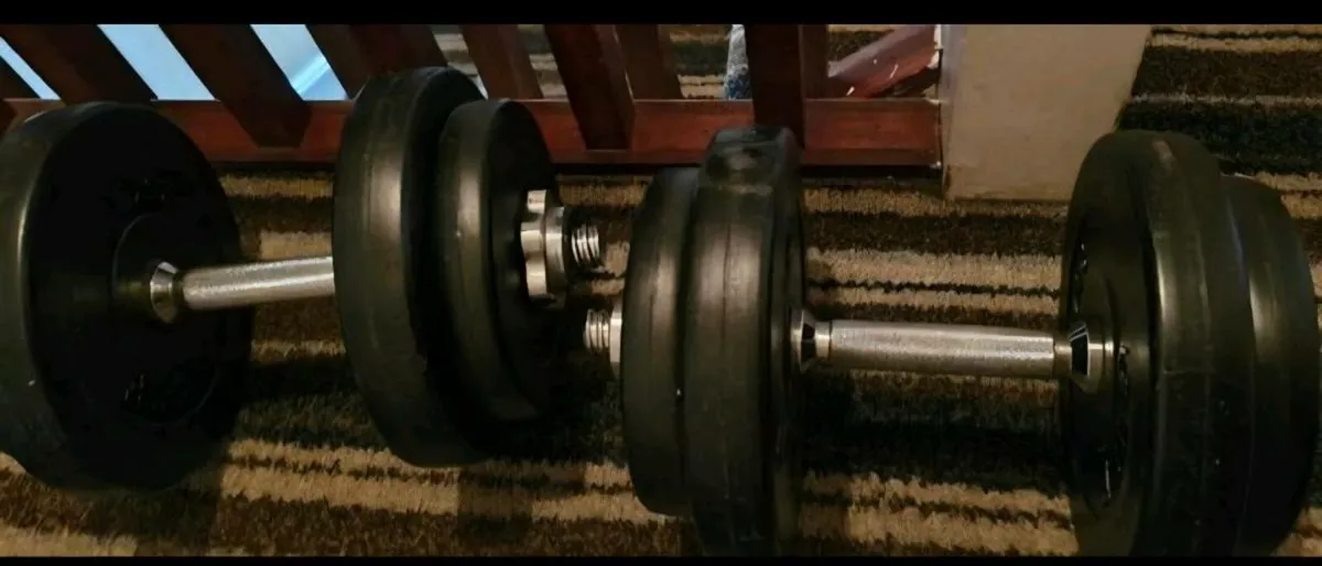 USF DUMBELLS - Image 1