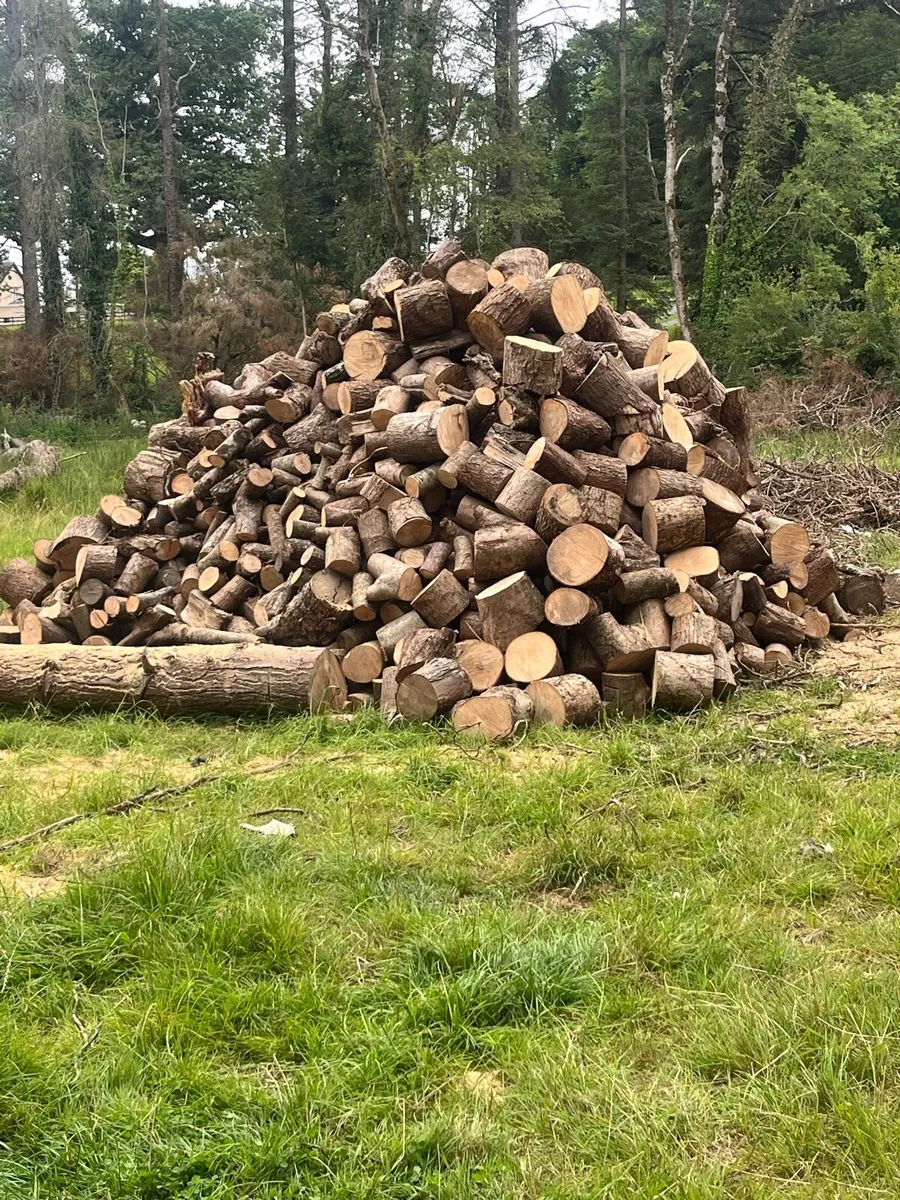 Majority ash timber - Image 3