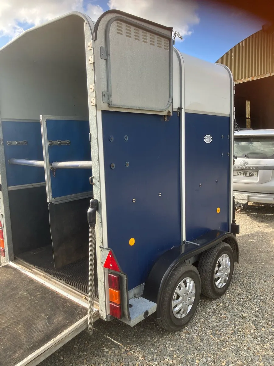 Hunter 505 Deluxe Horsebox - Image 3