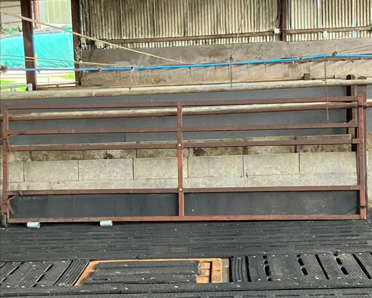 Box Iron Feeding Gates - Image 1