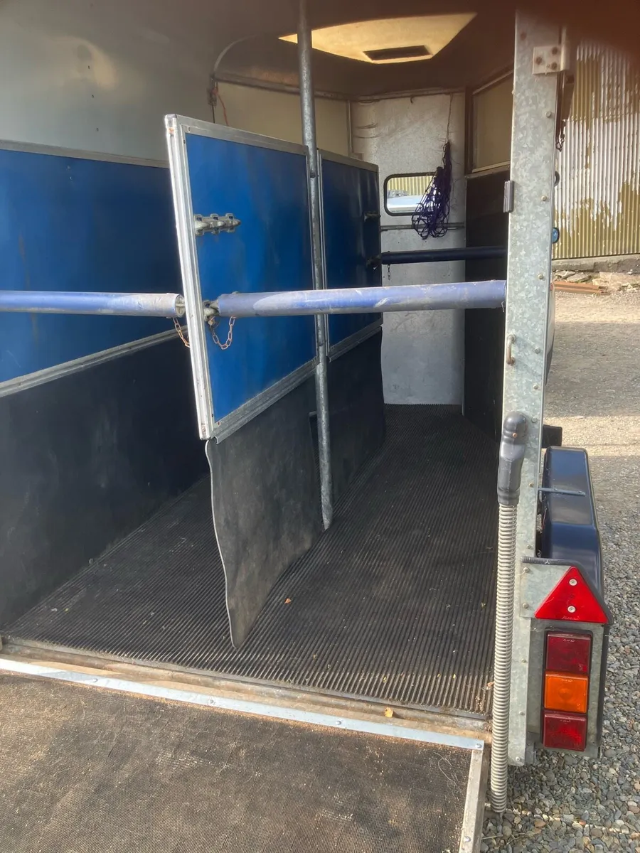 Hunter 505 Deluxe Horsebox - Image 4