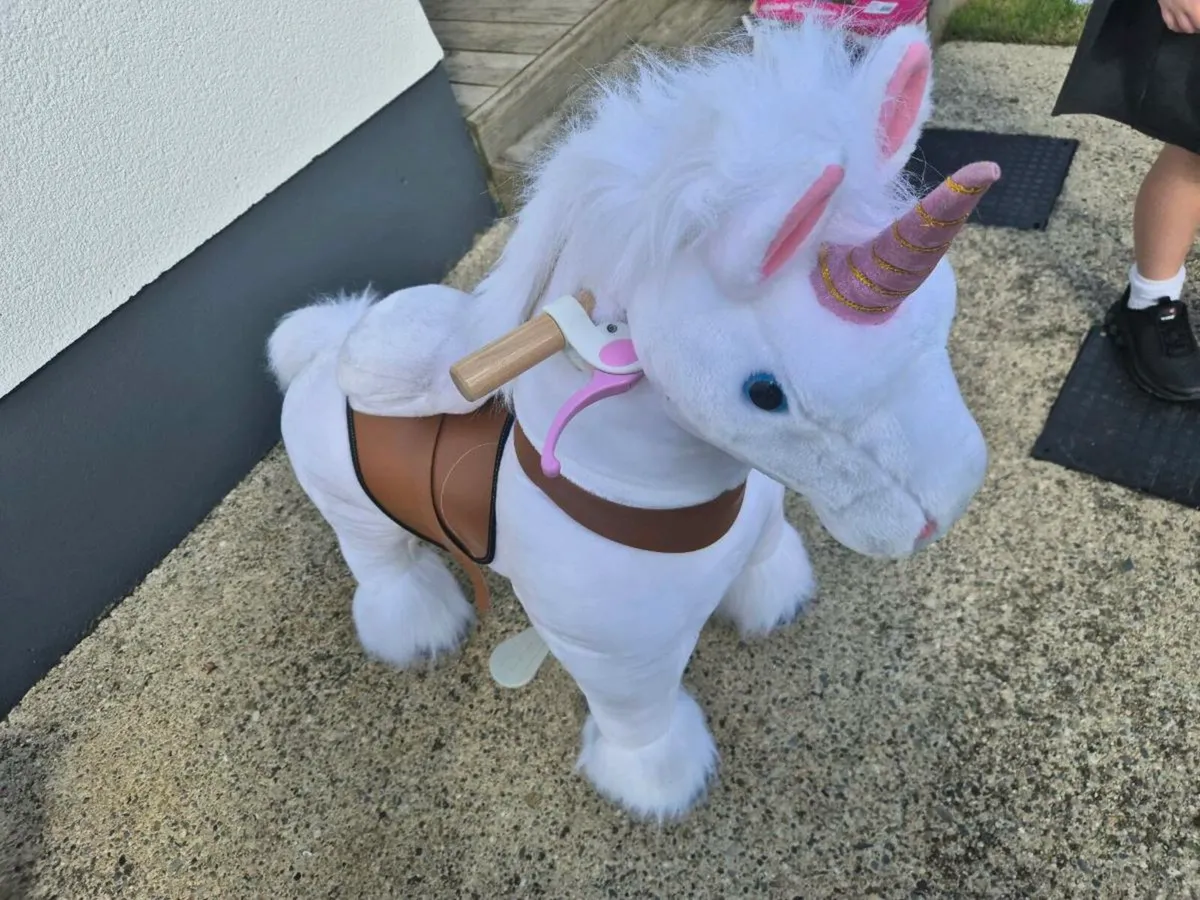 Pony cycle ride on unicorn - Image 3