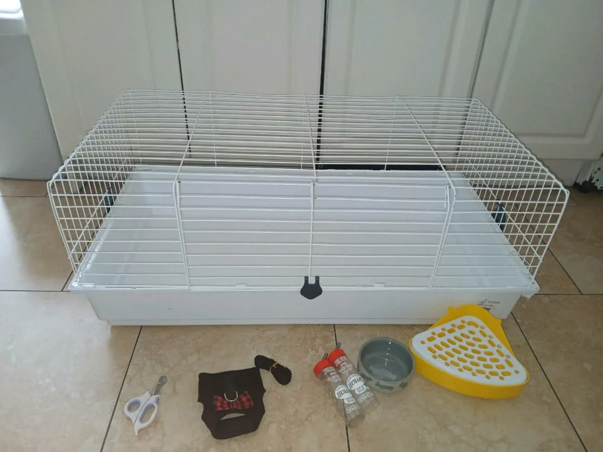 Guinea/Rabbit Cage - Image 1