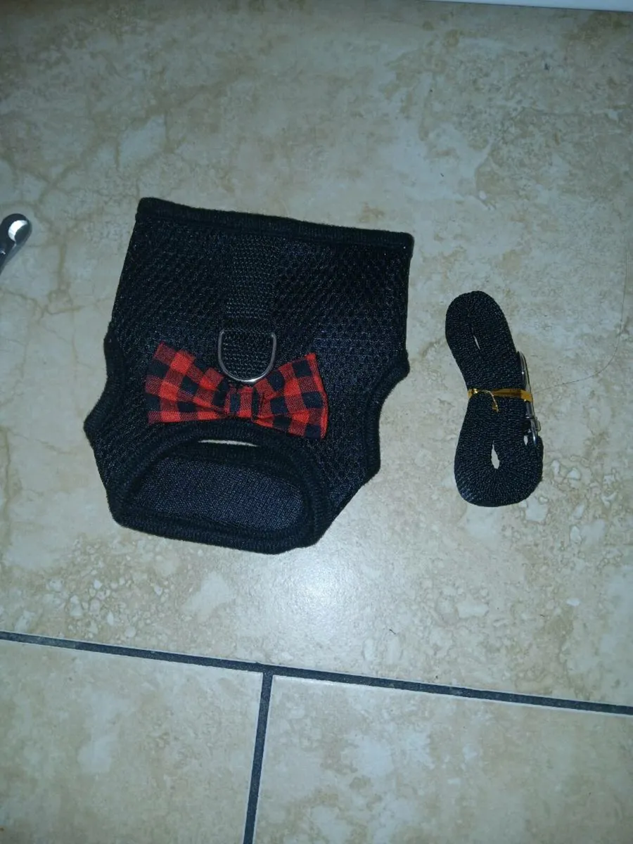 Guinea/Rabbit Cage - Image 3