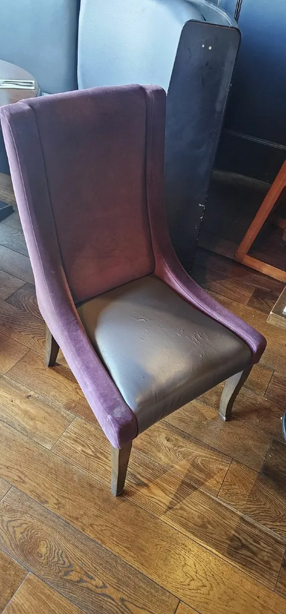 Restaurant Chairs - Image 1