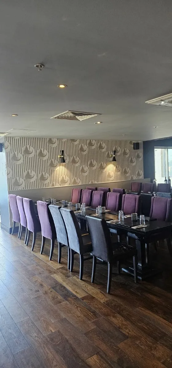 Restaurant Chairs - Image 4