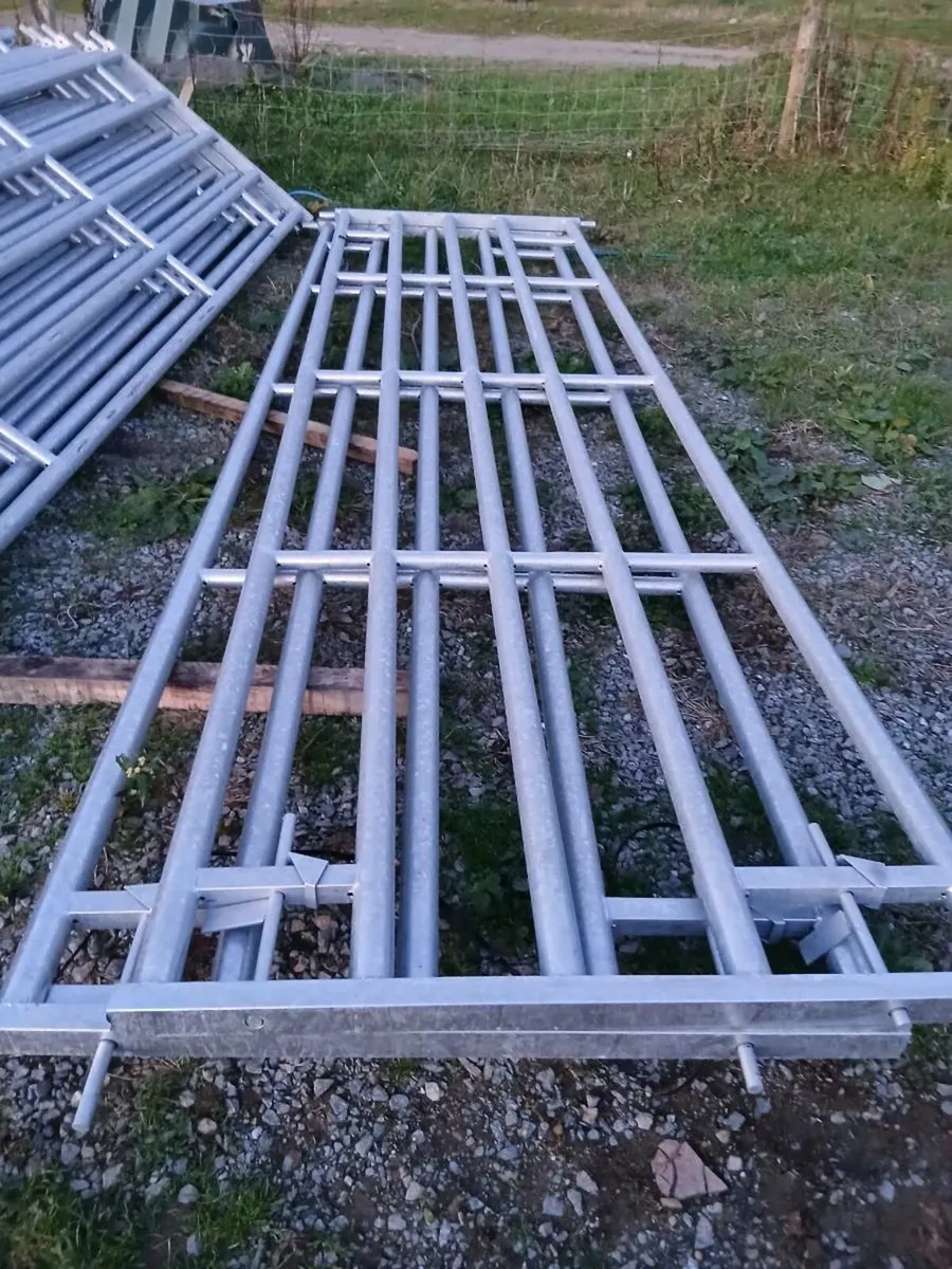 Heavy duty gates - Image 1
