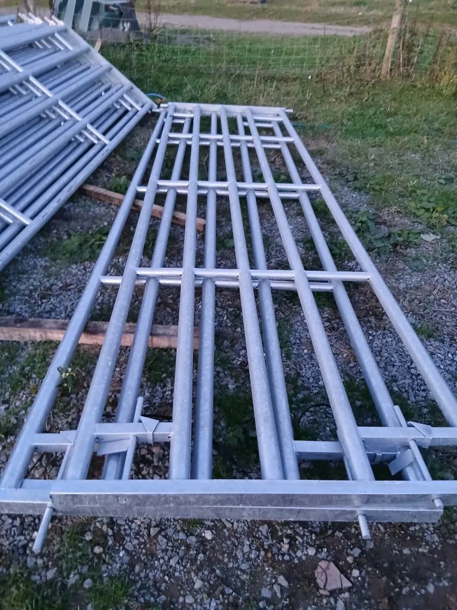Heavy duty gates - Image 2