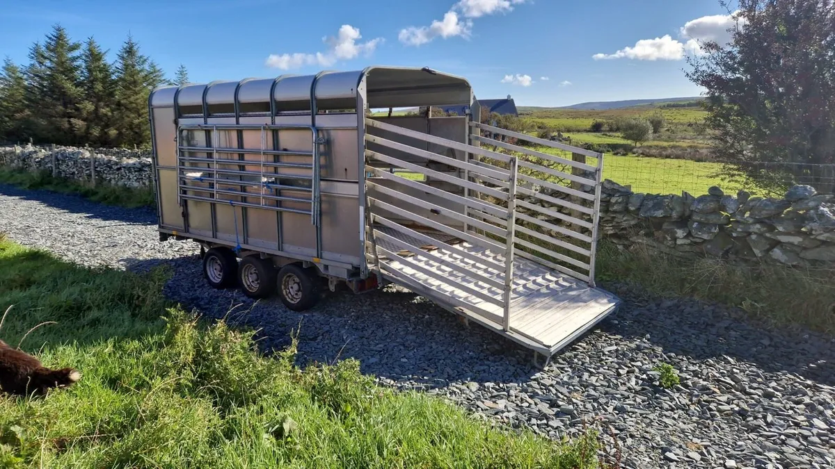 DP120 12 x 6’6 Sheep Trailer With Decks - Image 1