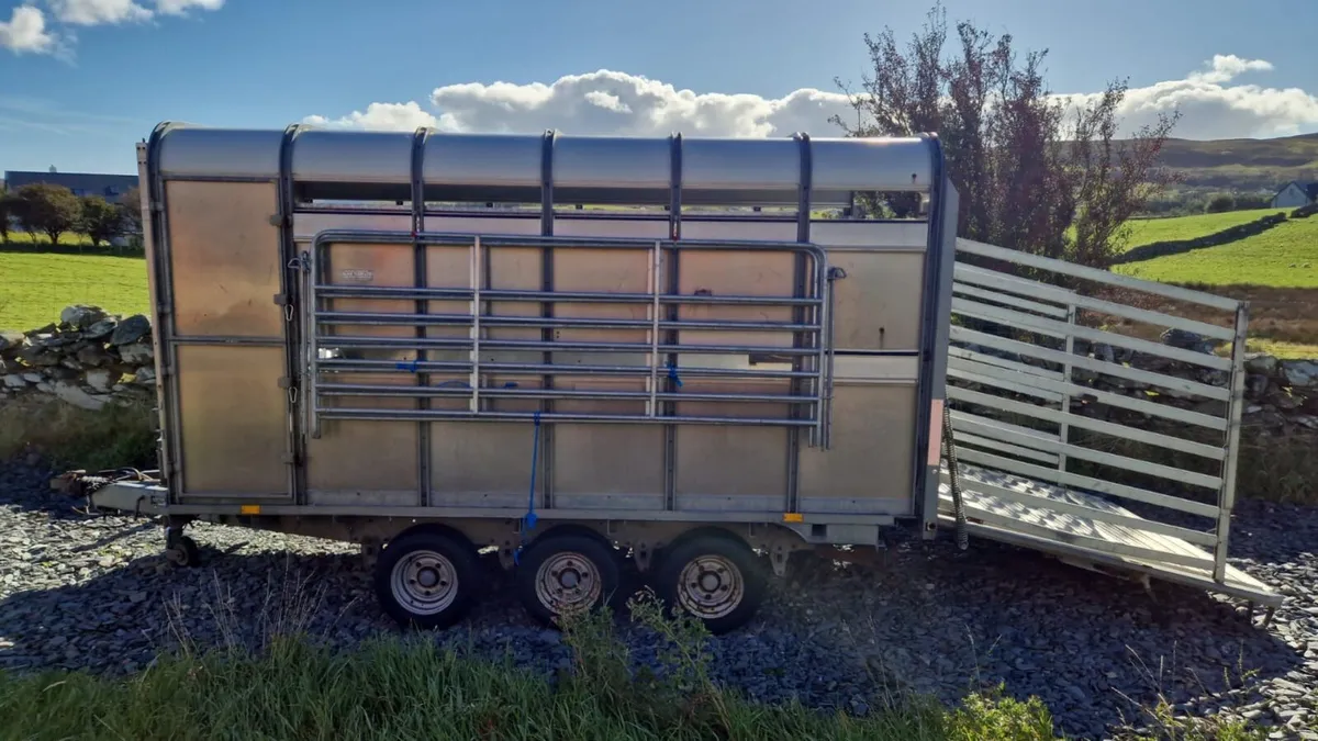 DP120 12 x 6’6 Sheep Trailer With Decks - Image 2