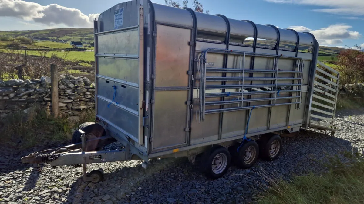 DP120 12 x 6’6 Sheep Trailer With Decks - Image 3