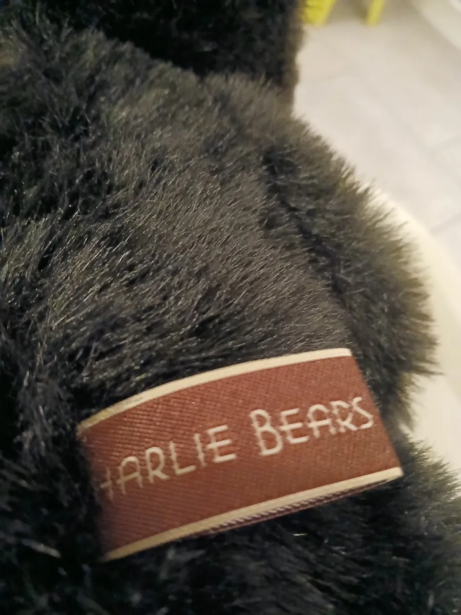 A Charlie Bear - Image 4