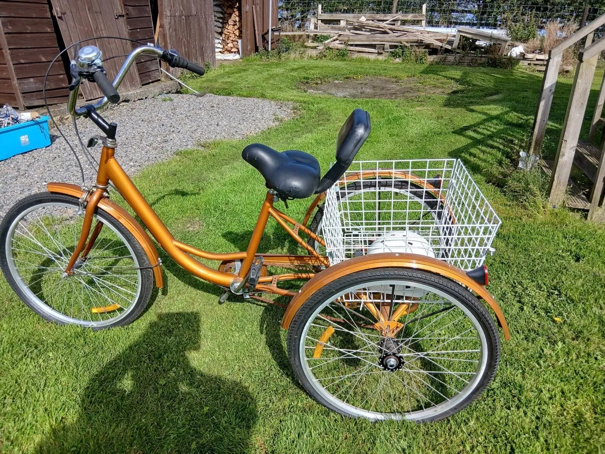 Adult Tricycle with Gears - Image 2