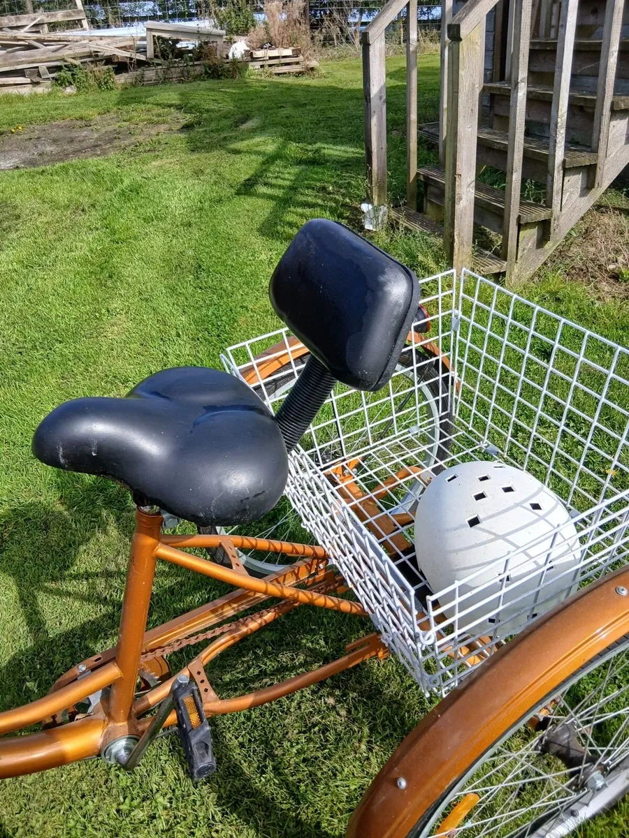 Adult Tricycle with Gears - Image 3