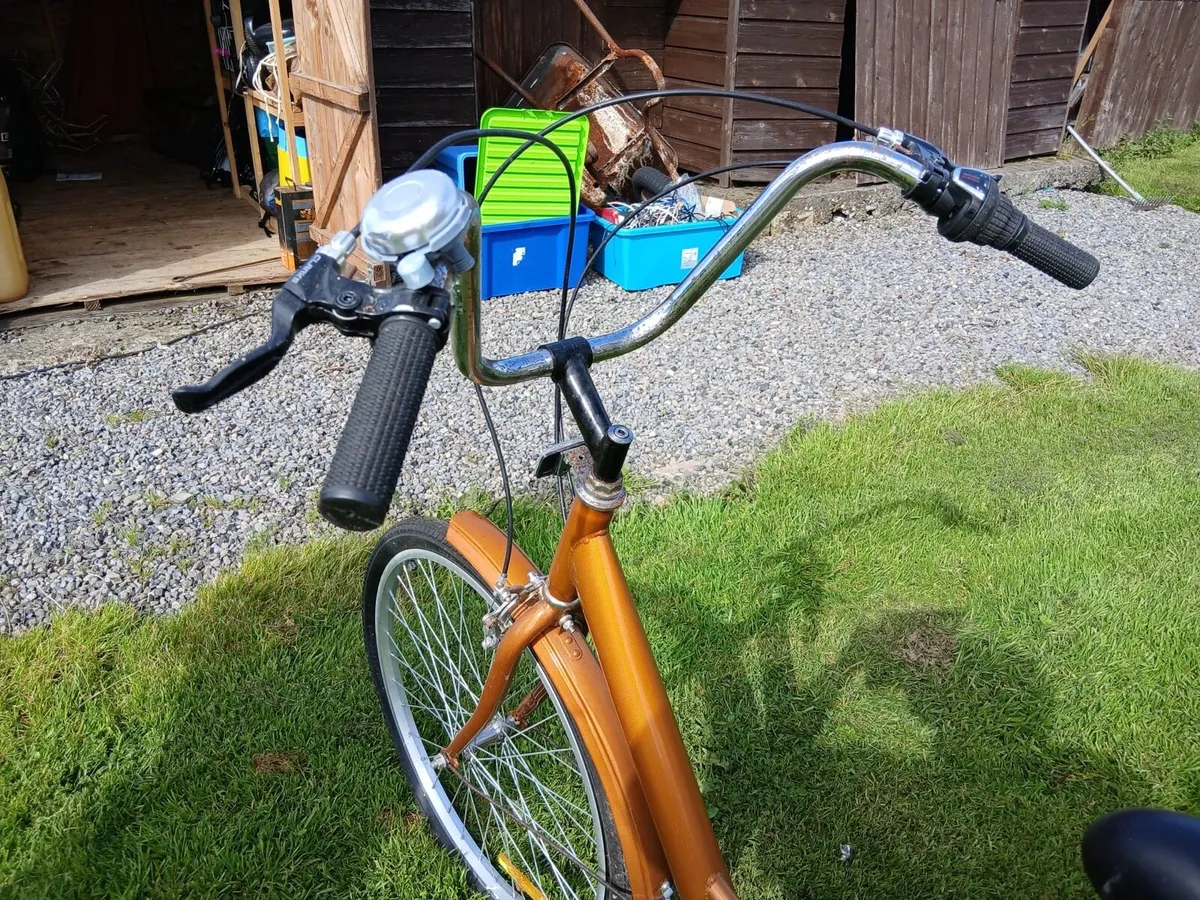 Adult Tricycle with Gears - Image 4