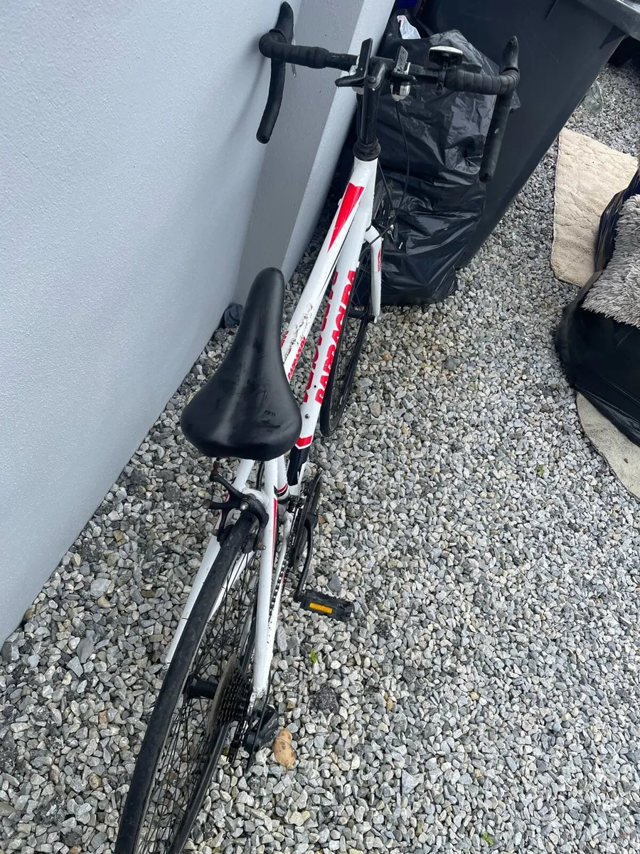 New barracuda Bike - Image 3