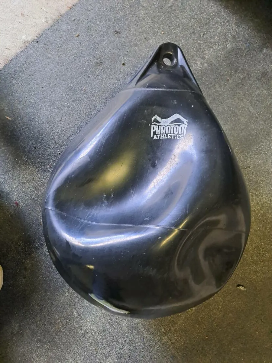 Aqua boxing bag - Image 1
