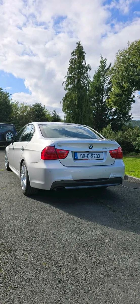 2009 BMW 318d msport - Image 3