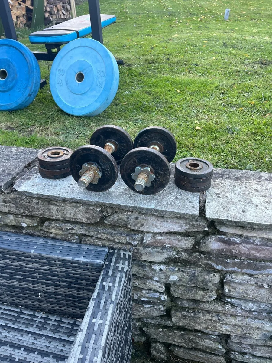 Bench , Bar , weights, dumbbells - Image 2