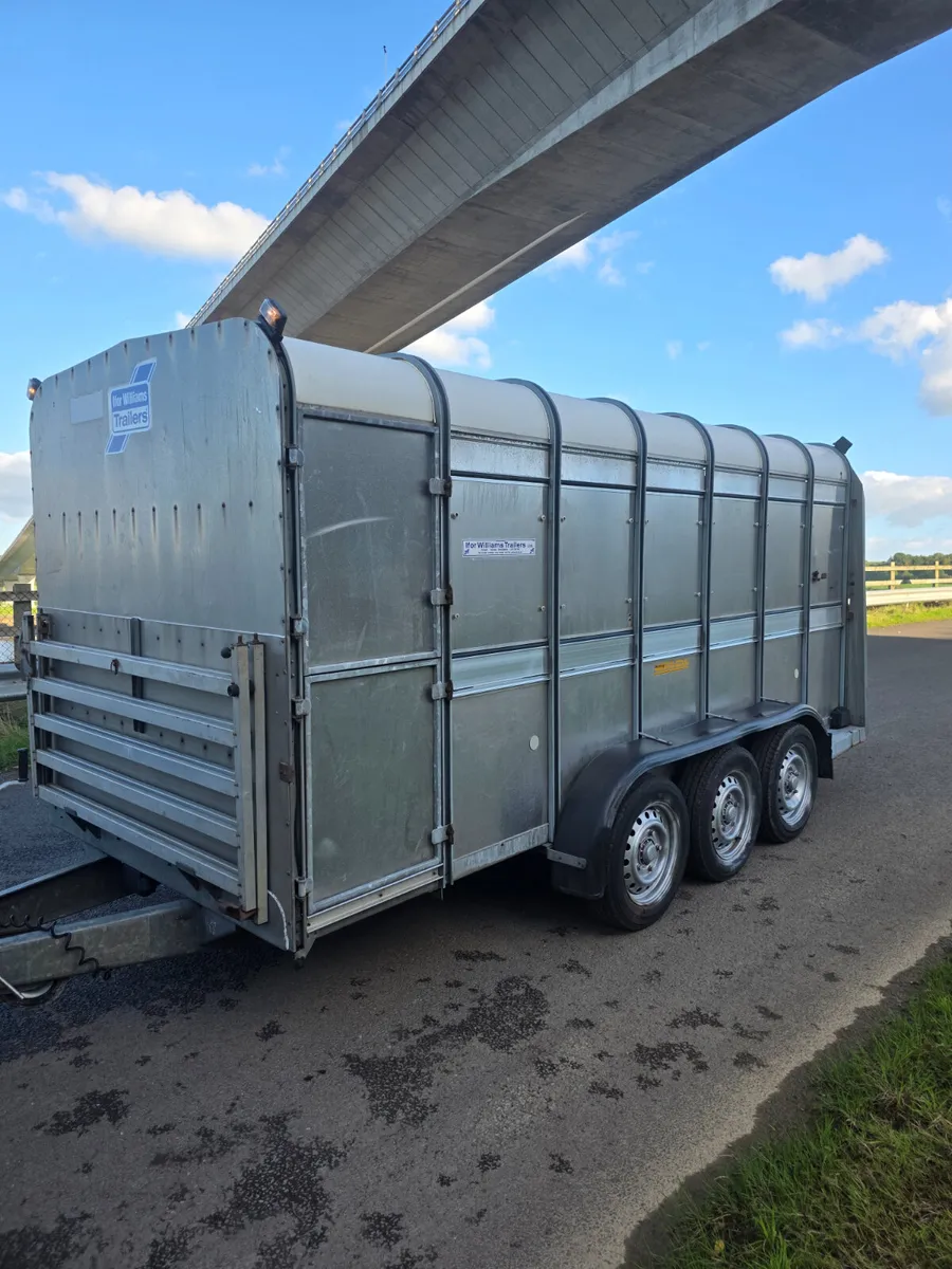14ft ifor Williams livestock with decks - Image 2