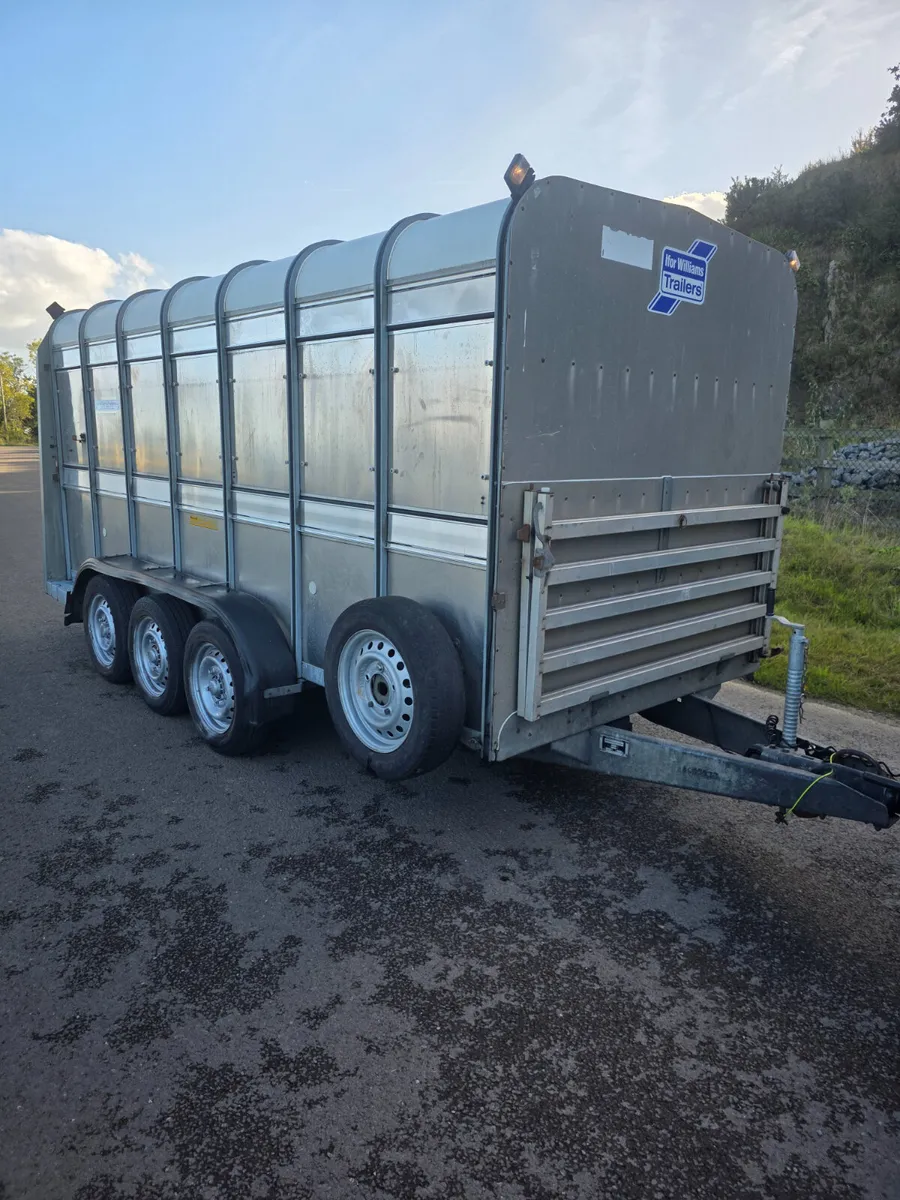 14ft ifor Williams livestock with decks - Image 1