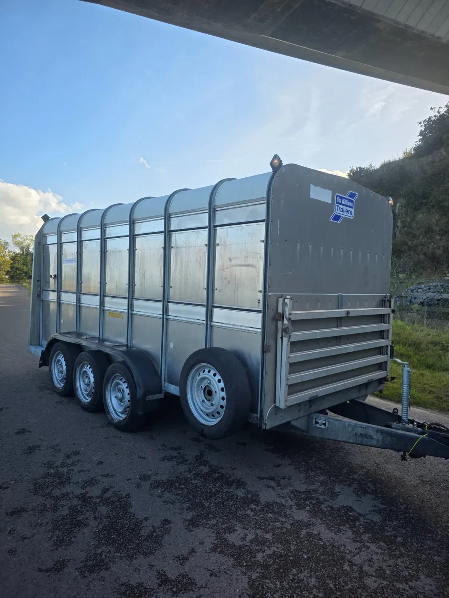 14ft ifor Williams livestock with decks - Image 3