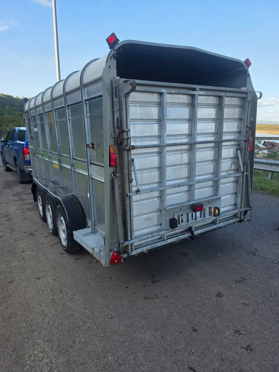14ft ifor Williams livestock with decks - Image 4