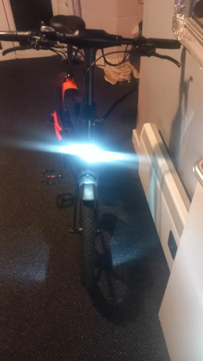 E bike - Image 2