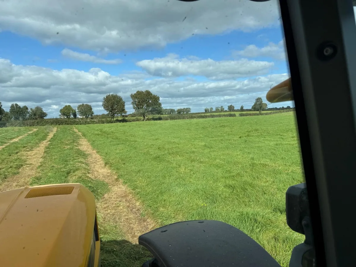Silage for sale off field - Image 2
