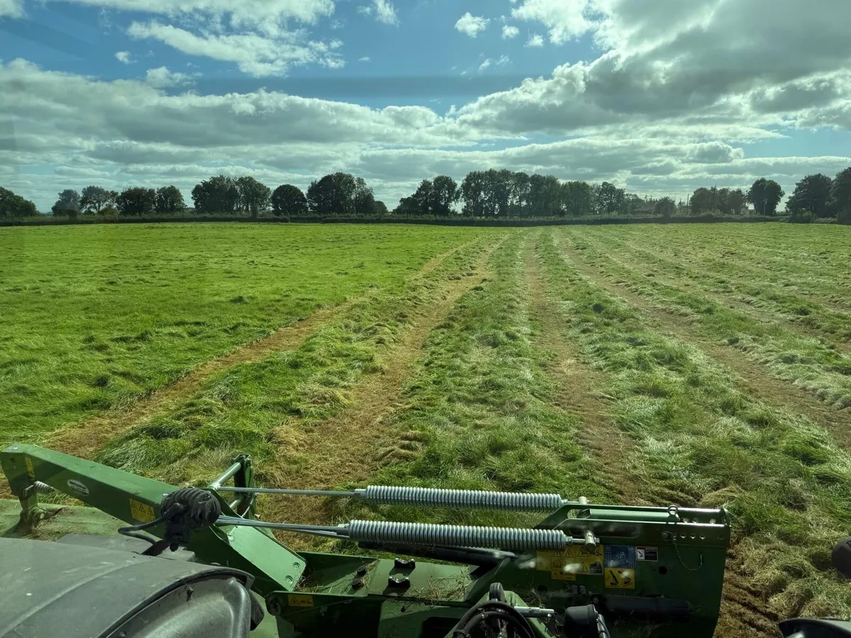 Silage for sale off field - Image 1