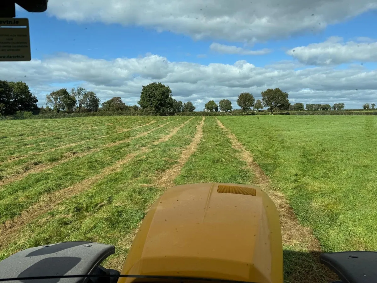 Silage for sale off field - Image 3
