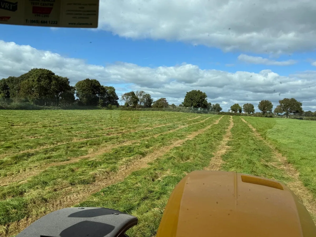 Silage for sale off field - Image 4