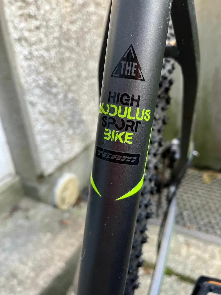 29 Inch Team Mountain bike - Image 2