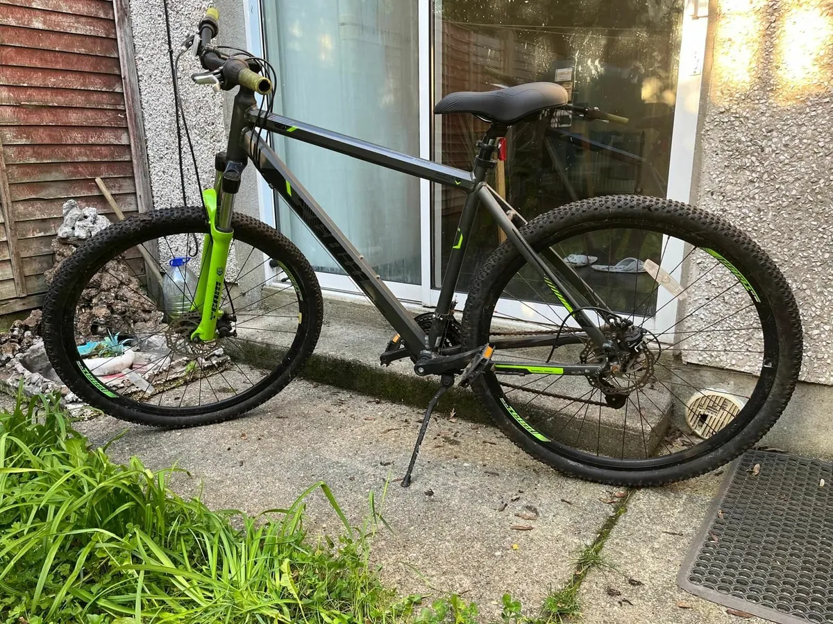 29 Inch Team Mountain bike - Image 3