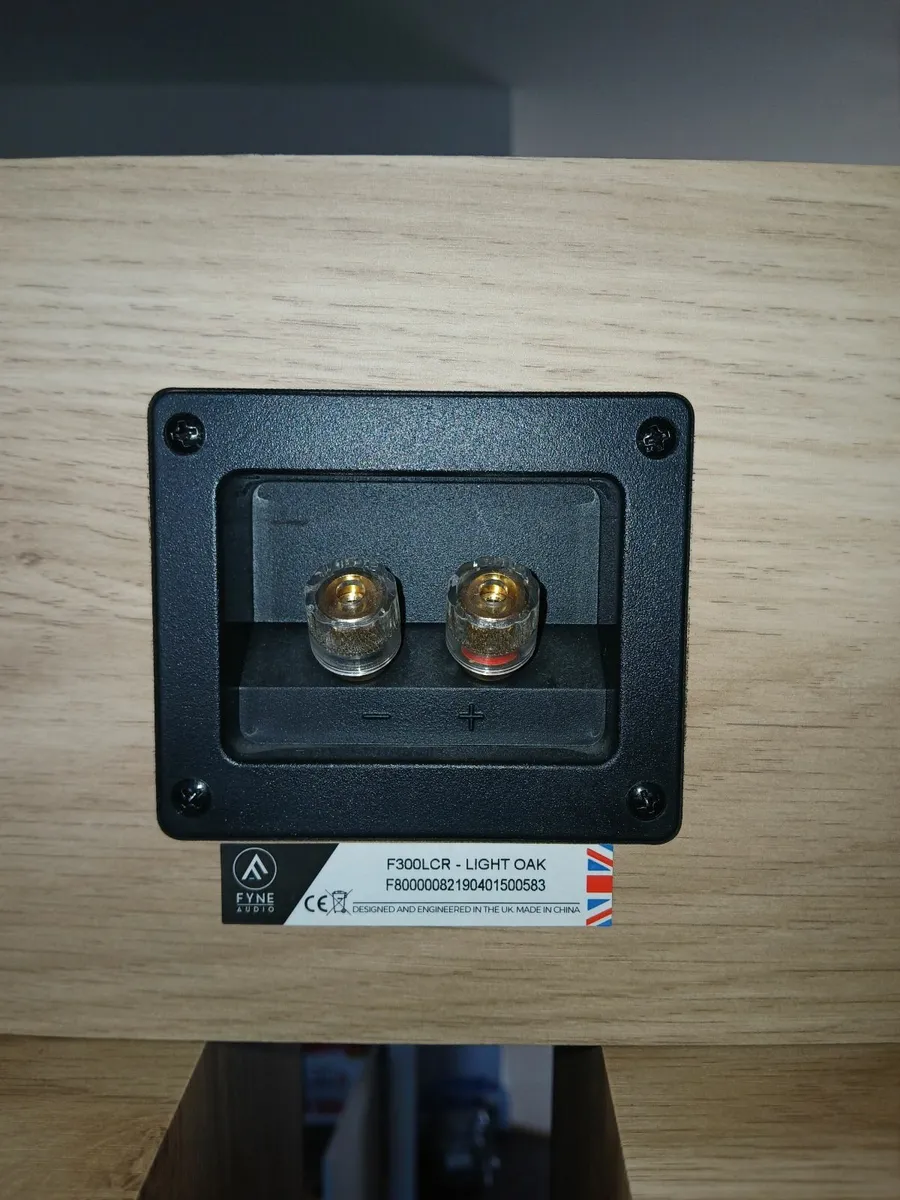 Floorstanding Speakers - Image 3