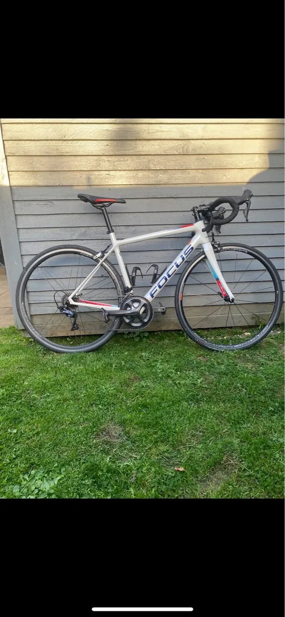 Focus Bike - Image 1