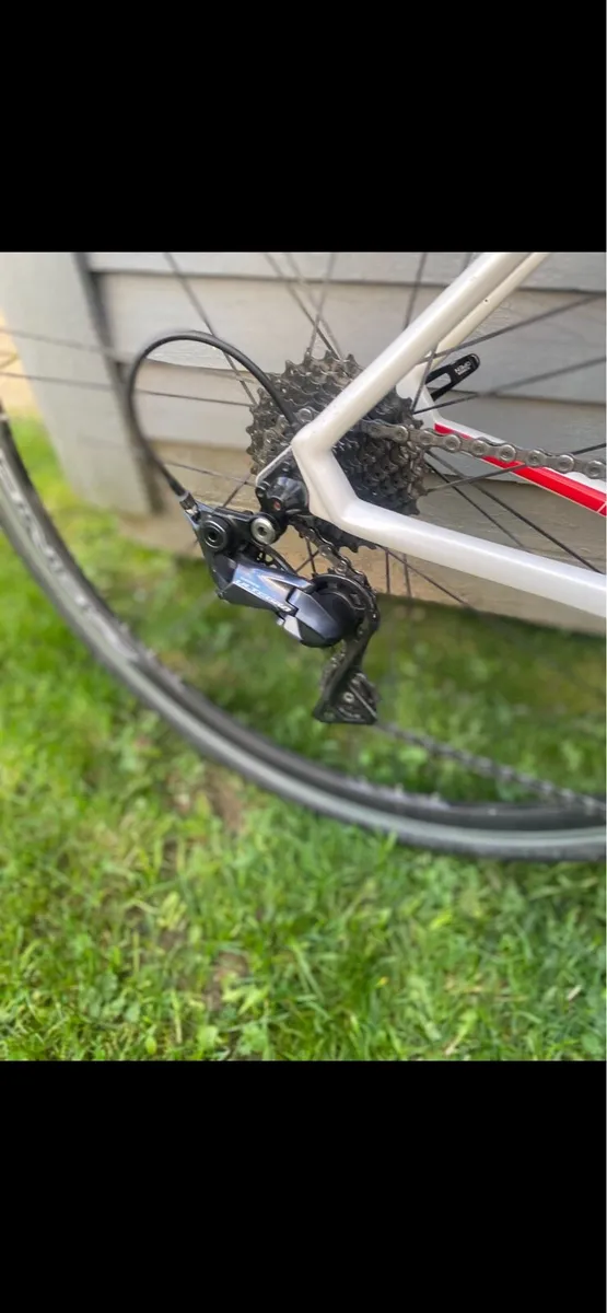 Focus Bike - Image 3